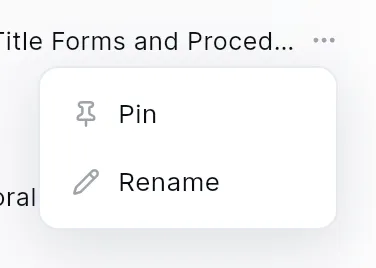 The menu of a conversation: Pin and Rename.